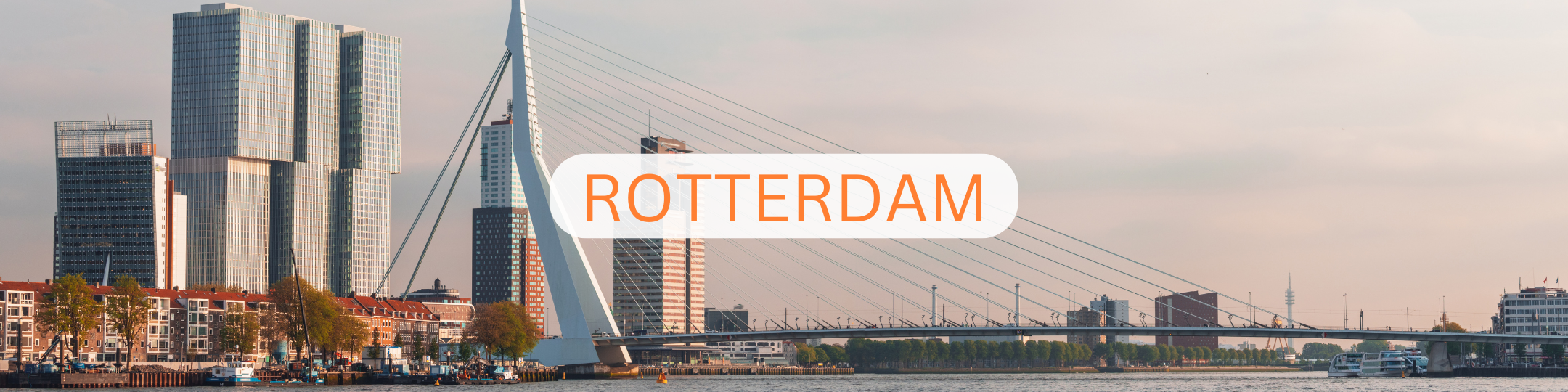 Recruit a Student Rotterdam