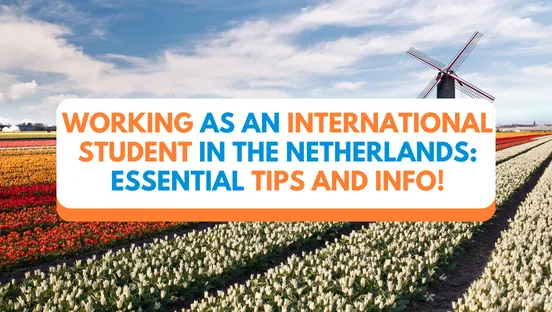 Working as an International Student in the Netherlands in 2025