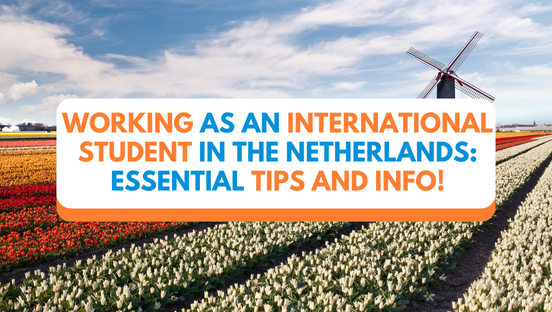 Working as an International Student in the Netherlands: Essential Tips and Info!